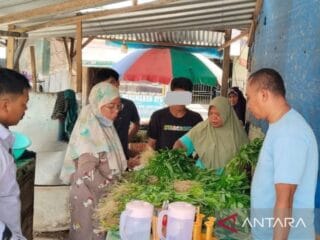 LPKA Kendari kembangkan keterampilan anak binaan melalui pertanian