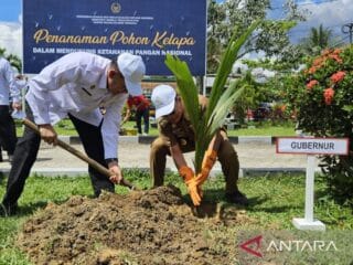 Ditjenpas dan Pemprov tanam 5 ribu pohon kelapa di seluruh Lapas dan Rutan Sultra