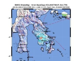 BMKG catat 305 kali gempa susulan di Koltim sejak 24 Januari