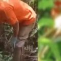 Pelaku Pembunuhan Bocah Perempuan di Konawe Selatan Sempat Ikut Cari Korban dan Arahkan Warga - Tribunnewssultra.com