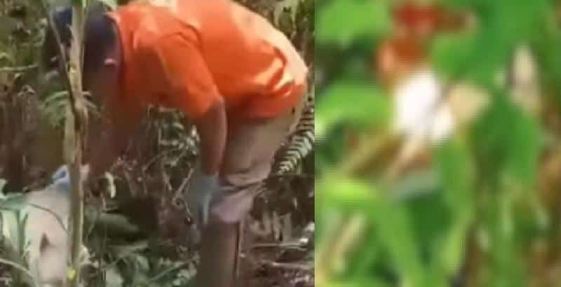 Pelaku Pembunuhan Bocah Perempuan di Konawe Selatan Sempat Ikut Cari Korban dan Arahkan Warga - Tribunnewssultra.com