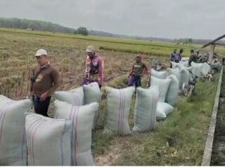 Soal Isu Negatif terhadap Kementan, Pengamat: Fakta Cukup untuk Pidana, Tapi Gugatan Perdata Paling Tepat