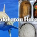 Ikan Hiu Halal atau Haram? Penjelasan Hadis soal Hewan Laut Lengkap dengan Pertimbangan Kesehatan - Tribunnewssultra.com