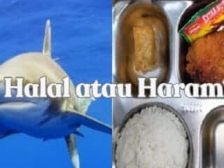 Ikan Hiu Halal atau Haram? Penjelasan Hadis soal Hewan Laut Lengkap dengan Pertimbangan Kesehatan - Tribunnewssultra.com