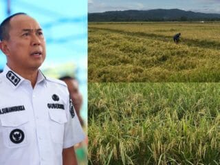Gubernur Sulawesi Tenggara Bentuk 33 Brigade Pangan Kelola 6.745 Hektare Sawah Baru dari Kementan - Tribunnewssultra.com