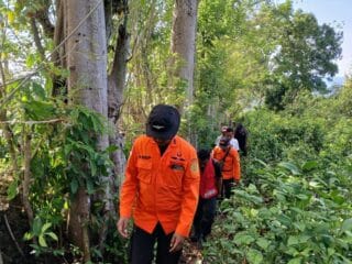 Basarnas kerahkan Tim SAR cari pria hilang di kebun Buton