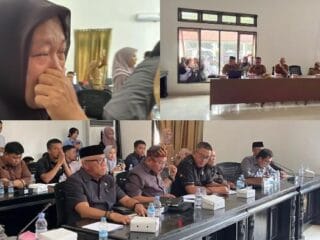 3.942 Honorer Konawe Bakal Diusulkan Jadi PPPK Paruh Waktu: Terima Kasih Sudah Dengar Isi Hati Kami - Tribunnewssultra.com