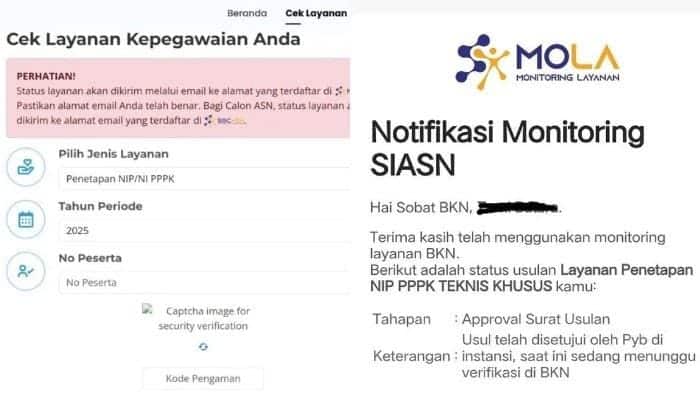 3 Solusi Jika Gagal Cek Usulan penetapan NIP PPPK Paruh Waktu di Web MOLA BKN - Tribunnewssultra.com