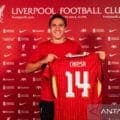 Federico Chiesa absen di Laga Liverpool vs Galatasaray