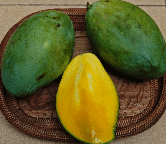 Mangga Manalagi: Si Buah Manis yang Tak Hanya Nikmat tapi Juga Penuh Manfaat Kesehatan