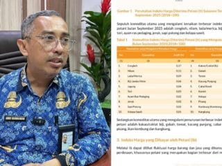 Petani Kakao Sulawesi Tenggara Tak Dapat Laba, Biji Cokelat Penyumbang NTP Turun di September 2025 - Tribunnewssultra.com