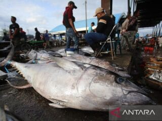 Dari laut untuk bangsa: Membuka harta karun maritim Indonesia