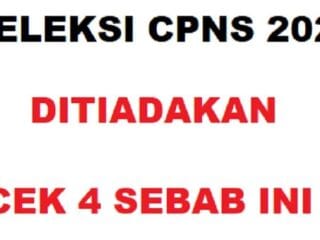 4 Alasan Ini Seleksi CPNS 2025 Ditiadakan? KemenPAN-RB Fokus Tuntaskan Pengangkatan PPPK - Tribunnewssultra.com