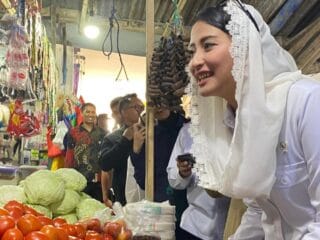 Wamendag Roro Tanya Harga Cabai di Pasar Baruga Kendari, Cek Kesiapan Revitalisasi dan Digitalisasi - Tribunnewssultra.com