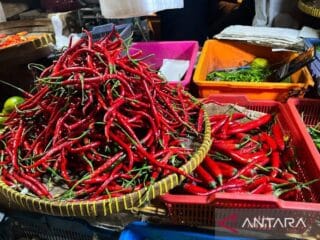 Bapanas catat penurunan harga pangan, termasuk beras dan cabai