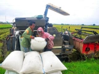 Pertanian Maju Kunci Kemakmuran Petani - Tribunnewssultra.com